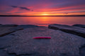 5" Stick bait Pink Lemonade